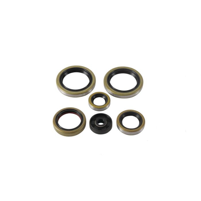 VERTEX ENGINE OIL SEAL KIT