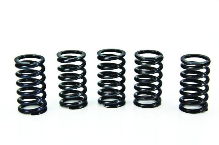 PROX CLUTCH SPRING KIT KX60/65 '83-11 + RM65 '03-05